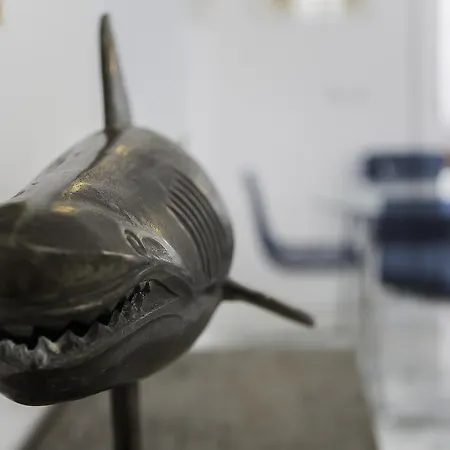 Elegant * Кадис