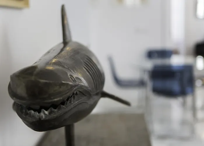 Elegant * Кадис